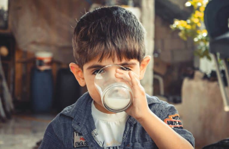 Ayran: Ein traditionelles Getränk und seine Rolle in Israel