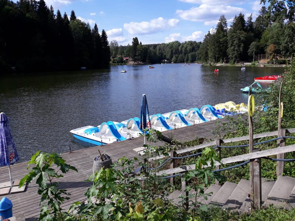 Entdecke den schwäbischen Wald: Spaß und Kultur am Ebnisee - Rodeln und Museum