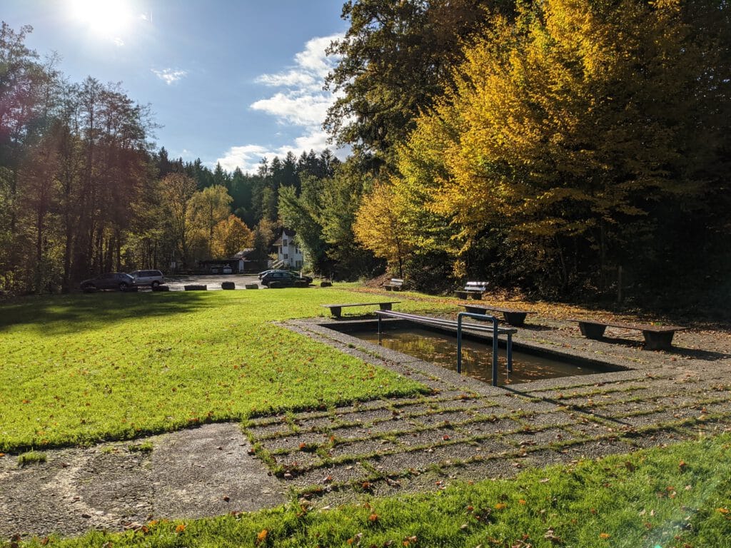 Entdecke den schwäbischen Wald: Spaß und Kultur am Ebnisee - Rodeln und Museum