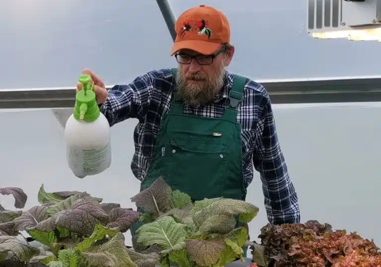 Aquaponiker Peter Winkler im Gewächshaus