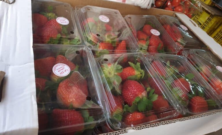 Beschlagnahmte Erdbeeren in Beersheva