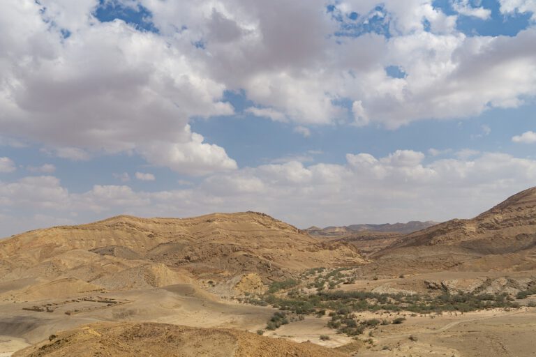 Negev Wüste
