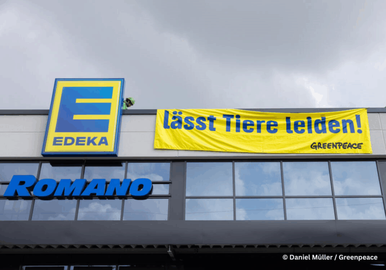 EDEKA lässt Tiere leiden