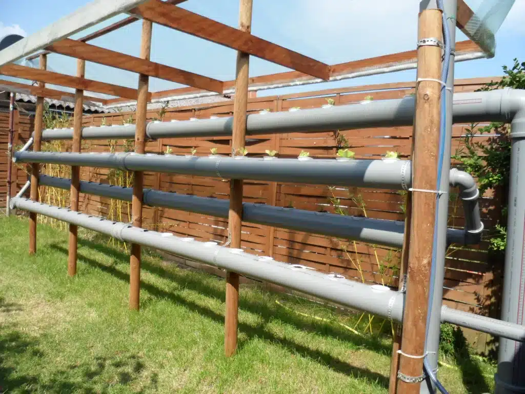 Meine erste Begegnung mit der Aquaponik