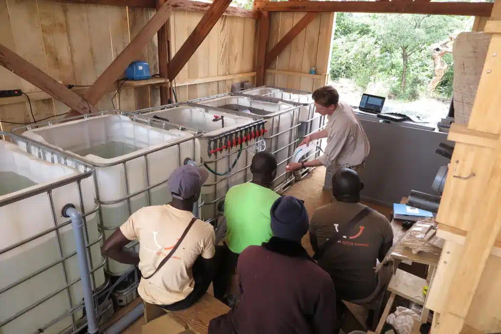 Einladung zum Stammtisch: Wie Aquaponik in Kamerun Hoffnung schenkt