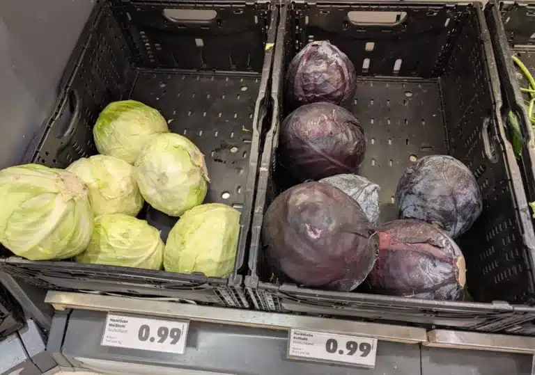 Weißkohl und Rotkohl im Supermarkt