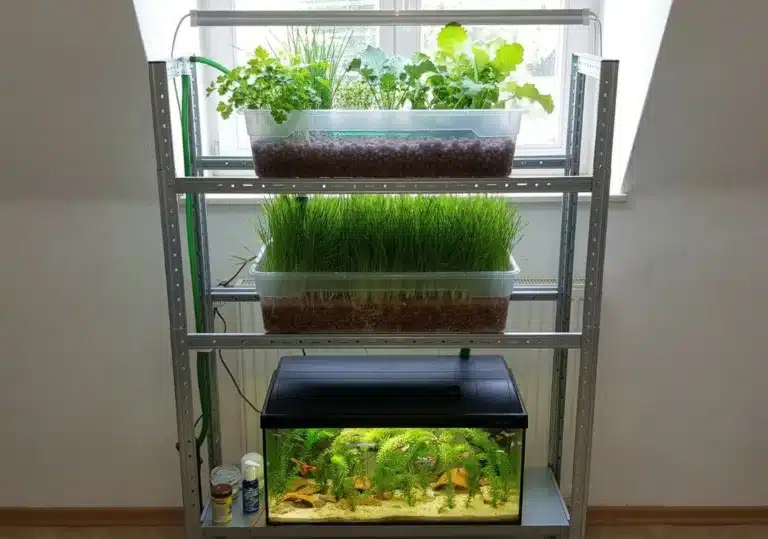 Mini Aquaponik Anlage im Jahr 2012 von Peter Winkler