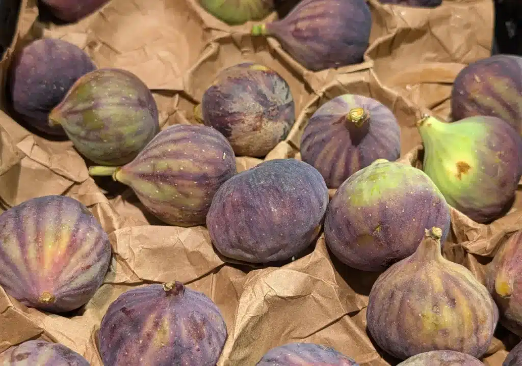 Die Frucht der Versuchung: Warum die Feige mehr als nur eine kulinarischer Leckerbissen im Spätsommer ist
